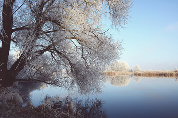 rime frost landscape at Havel river (Brandenburg - Germany)