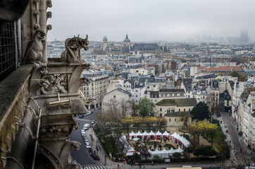 Notre Dame gargoyle