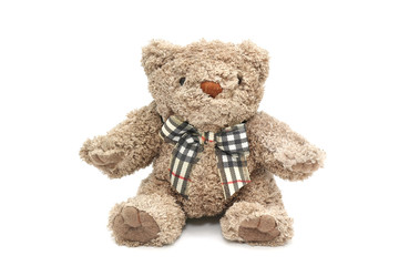 Isolated fluffy teddy bear on white background