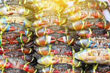 Fototapeta premium Plenty of living crabs being tie at the market for sell