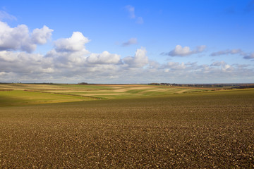 extensive farming landscape