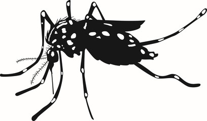 Aedes aegypti vector silhouette