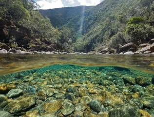 Foto op Canvas River above and below water surface with rocks on the riverbed underwater, Dumbea river, New Caledonia   © dam