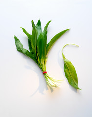 Fototapeta premium Fresh ramsons
