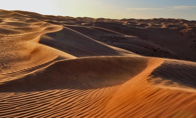 Beautiful sand dune in africa