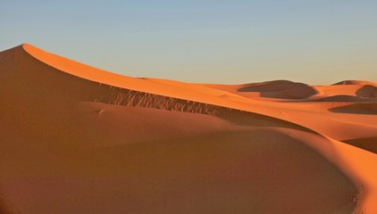 Fototapeta na wymiar Beautiful sand dune in africa