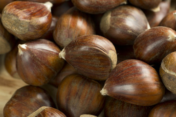 Chestnuts photographed close up.
