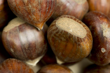 Chestnuts photographed close up.