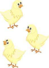 chickens