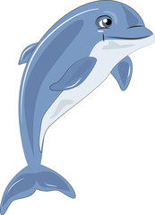 dolphin
