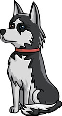husky dog