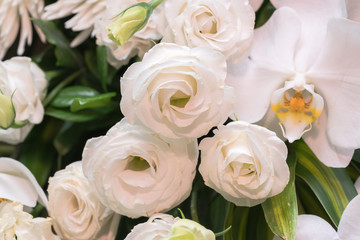 Many white roses as a floral background
