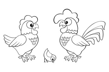 Hen, cock and chick. Black and white vector illustration for coloring book