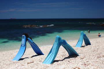 snorkling fins