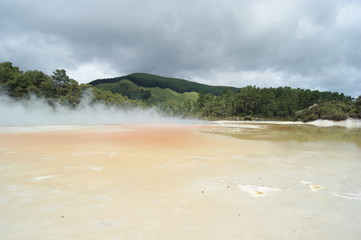 champagne pool