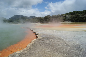 champagne pool