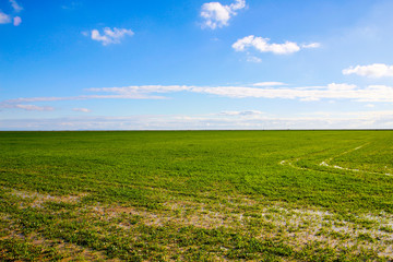 Fototapeta na wymiar Beautiful landscape of grass and sky Donana, Andalusia, Spain.