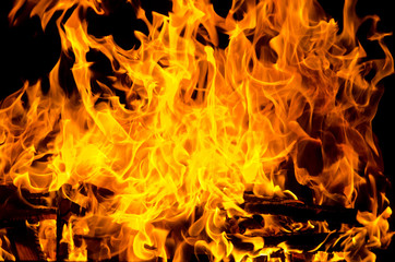 Fototapeta premium Flames lit the fire, warming his warmth in cold weather. Rules of safe breeding of fire.