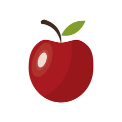 Delicious apple fruit icon vector illustration graphic design
