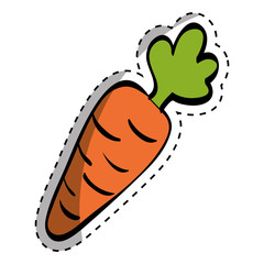 Fresh carrot vegetable icon vector illustration graphic design
