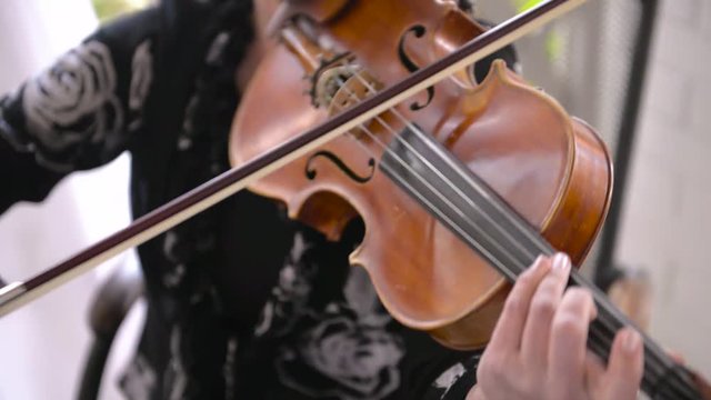 violin, cello, note, music, arkestr