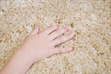  hands on a fluffy carpet