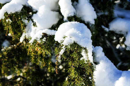 Sn&ouml; p&aring; ett r&auml;d