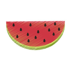 Fresh watermelon fruit icon vector illustration graphic design