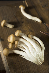 Raw Organic Brown Beech Mushrooms
