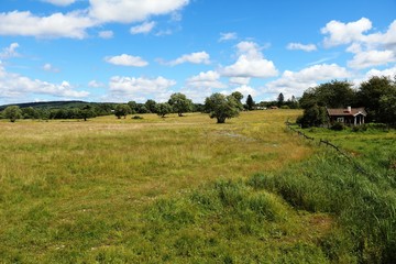 Fototapeta premium Naturreservat Hornborgasjöns in Sweden at summertime, Scandinavia 