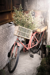 Fototapeta na wymiar Old Vintage Bicycle