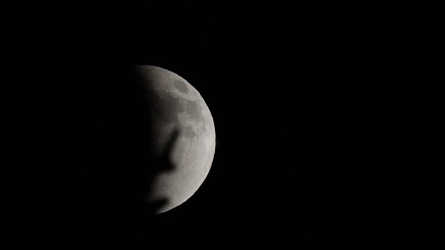 Full moon in partial eclipse slides past branches