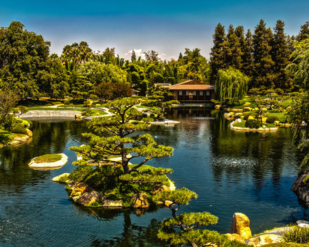 Japanse Garden And Teahouse