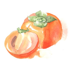 Fruits in watercolor style. Isolated.