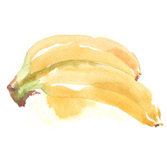 Fruits in watercolor style. Isolated. - 129715154