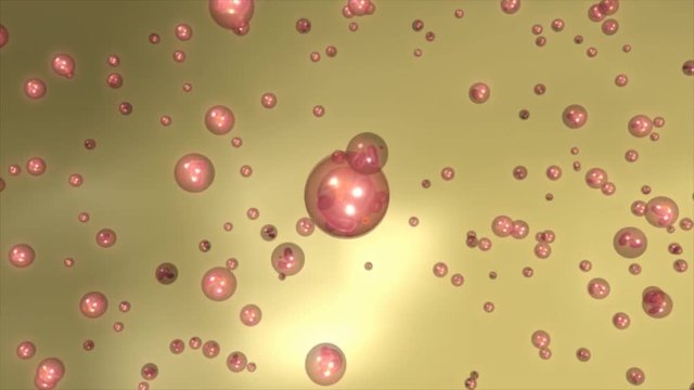 Process of urine formation