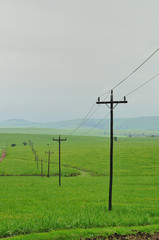 Fototapeta na wymiar Power lines in a field next to a road