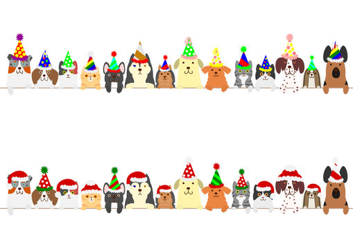 party dogs and cats border set