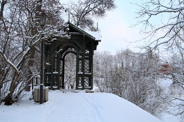 Winter landscape with frosty winter tree. Winter wonderland picturesque scene in cold winter Winter background