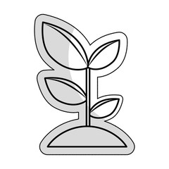 plant ecology isolated icon vector illustration design