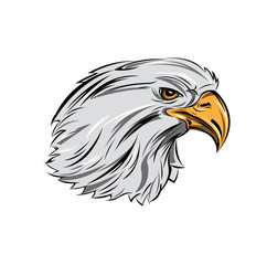 Eagle Head In Profile