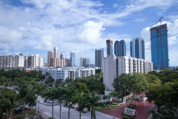 City view of skyscrapers in Sunny Isles with palms