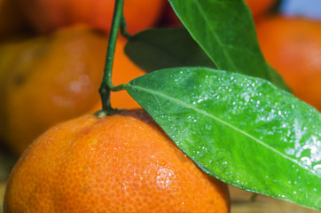 Fresh and juicy mandarin