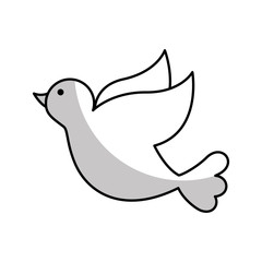 cute dove fly isolated icon vector illustration design