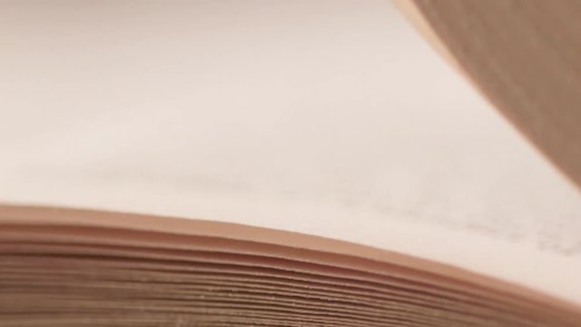 Looking through a book turning the pages and reading - Business and education concept