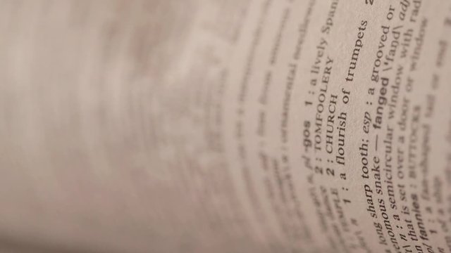 Looking through a book turning the pages and reading - Business and education concept