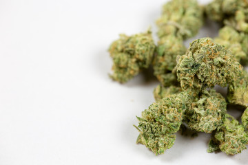 close up of marijuana bud on white background - obrazy, fototapety, plakaty