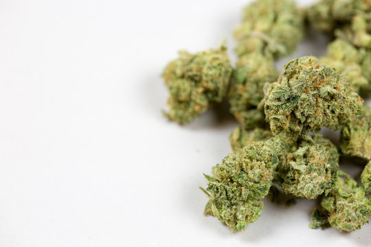 close up of marijuana bud on white background