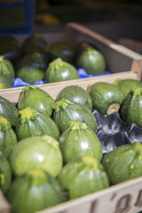 Green round courgettes lined up in a crate