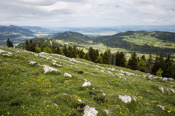 Fototapeta na wymiar mountain landscape - Dent du Vaulion - Switzerland